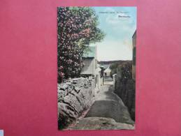 Bermuda--    St Georges      Oleander Lane --- Circa 1910- Not Postally Mailed------------  Ref 718 - Bermuda