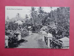 Bermuda--   On The Road To Castleton       -- Circa 1910- Not Postally Mailed------------  Ref 718 - Bermuda