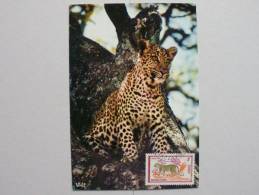 Kongo Brazzaville 343 Maximumkarte MC/MK, ET Brazzaville, Leopard (Panthera Pardus) - Andere & Zonder Classificatie