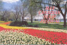 Canada - May Canadian Tulip Festival - Ottawa - Moderne Ansichtskarten