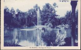 CPA - (Espagne) Bilbao - Un Lago Del Parque - Sonstige & Ohne Zuordnung