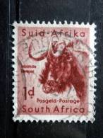 South Africa - 1954 - Mi.nr.240 - Used - South African Wildlife - Black Wildebeest - Connochaetes Gnou - Definitives - Usati