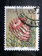 South Africa - 1977 - Mi.nr.521 A - Used - Plants - Protea Aristata - Definitives - Used Stamps