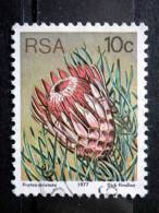 South Africa - 1977 - Mi.nr.521 A - Used - Plants - Protea Aristata - Definitives - Oblitérés