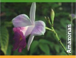Lote PEP329, Colombia, Postal, Postcard, Amazonas, Amazon, Orquidea, Orchid - Colombia