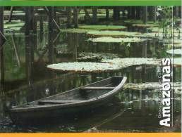 Lote PEP331, Colombia, Postal, Postcard, Amazonas, Amazon, Rio, River, Canoa - Colombia