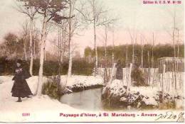 Brasschaat, Paysage D'hiver à St. Mariaburg - Brasschaat