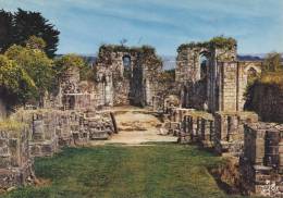 LANDEVENNEC 29, LES RUINES DE LA VIEILLE ABBAYE - Landévennec