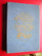 LES LIVRES BLEUS  LE MARCHAND DE BAGDAD LE CHEVAL ENCHANTE ET AUTRES CONTES CONTES DES MILLES ET UNE NUITS LAROUSSE 1928 - Märchen