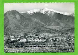 PRADES VUE VERS LE CANIGOU CARTE EN TRES BON ETAT - Prades