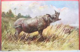 CPA RARE LITHO CHROMO Illustrateur Muller MUELLER WSSB N° 6961 IMPORT Rhinoceros Afrique TOP - Müller, August - München