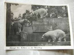 Leipzig  ZOO - Eisbären  In Der Bärenburg - Polar Bear    D82025 - Beren