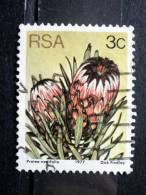 South Africa - 1977 - Mi.nr.514 C - Used - Proteus Plants - Protea Neriifolia - Definitives - Used Stamps