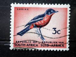 South Africa - 1961 - Mi.nr.292 - Used - Birds - Breasted Shrike - Laniarius Atrococcineus - Definitives - Gebraucht