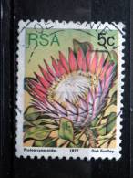 South Africa - 1977 - Mi.nr.516 A - Used - Plants - Protea Cynaroides - Definitives - Usati