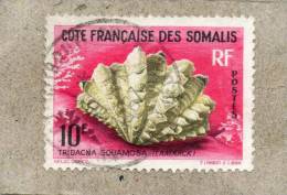 COTE Française Des SOMALIS : Coquillage De La Mer Rouge : Tridacna Garitifera - Mollusque - - Oblitérés