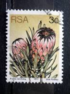 South Africa - 1977 - Mi.nr.514 C - Used - Proteus Plants - Protea Neriifolia - Definitives - Usados