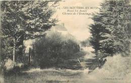 Loire Atlantique -ref A165- Les Moutiers En Retz -dans Les Dunes , Chemin De L Ermitage  -carte Bon Etat  - - Les Moutiers-en-Retz