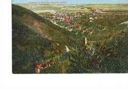 Litho Ilsenburg Harz Vom Ilsenstein Gesehen Wohngebiet Um 1915 - Ilsenburg