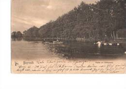 Litho Bayreuth Partie Am Röhrensee Ruderboot Schwäne Sw Um 1907 - Bayreuth