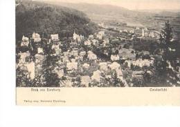 Litho Bad Harzburg Totalansicht Häuser Wohngebiet Sw Um 1910 - Bad Harzburg