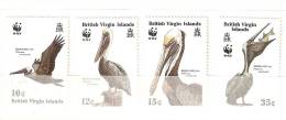 ILES VIERGES       Faune   614 617Pélican  ** WWF - Pelicans