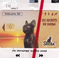 TELECARTE NSB  Les Secrets De SHEBA N° 3 @ CHAT Egypte @ - 50 Einheiten