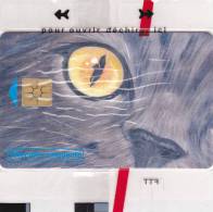 TELECARTE NSB 50 U - CEF 34 LE CHAT - 1300 Ex @  12/1999 - 50 Eenheden