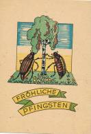 0533. Tarjeta Ilustrada SCHWERIN (almenia) 1948 To USA (not  Stamps) - Pentecostés