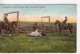 Canada..animée..Ranch..West Canadian..Branding Cattle..chevaux..vache..cavalier - Otros & Sin Clasificación