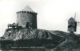 Burton Dassett - Windmill And Beacon, Horses - Sonstige & Ohne Zuordnung