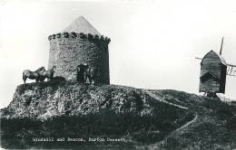 Burton Dassett - Windmill And Beacon, Horses - Otros & Sin Clasificación