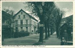 HOTEL BADISCHER  HOF MIT PROMENADE   BAD-PETERSTAL - Bad Peterstal-Griesbach