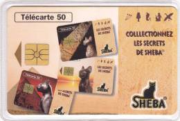 TELECARTE 50 U SHEBA VARIETE 3 L à "colllectionnez" - 100 000 Ex @ 03/1996- Chat - Errors And Oddities