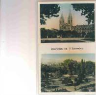 SAINT CHAMOND  LOIRE      SOUVENIR - Saint Chamond