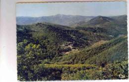 LAMALOU LES BAINS     HERAULT    LE  HAMEAU  DE  SENAS - Lamalou Les Bains