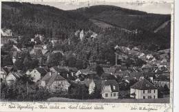 Bad Elgersburg, Ansicht Mit Carl Eduard Warte, Um 1936 - Ilmenau