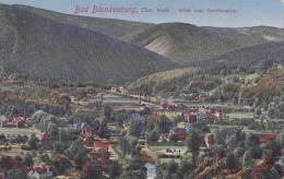 LITHO-AK: Bad Blankenburg Im Schwarzatal, Mit Fabrik, Um 1912 - Bad Blankenburg