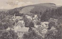 Bad Elgersburg, Blick Ins Steigertal, Um 1915 - Elgersburg