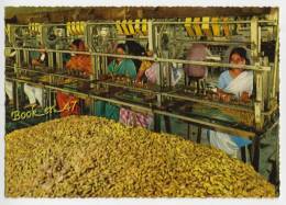 {64780} Pakistan Silk Production Rajshahi East Pakistan Animée Soie Production Rajshahi, Pakistan Oriental " En Baisse " - Pakistan
