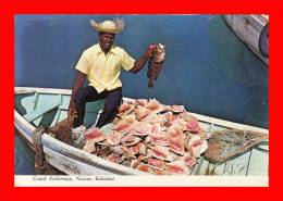 Delcampe - Nassau Bahamas Péche En Mer Des Caraibes Métier Un Pécheur En Bateau Avec Poissons Et Nombreuses Conques Coquilles - Bahamas