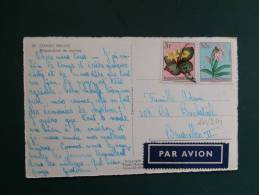 30/241     CP  POUR LA BELGIQUE - Lettres & Documents