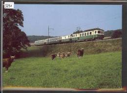 CARTE MODERNE - BAM - BIERE - APPLES - MORGES - TRAIN  - BAHN - TB - Apples