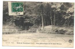 Verrières-le-Buisson (91) : La Mare De Saint-Leu Dans Le Bois En 1910 ,(animée). - Verrieres Le Buisson