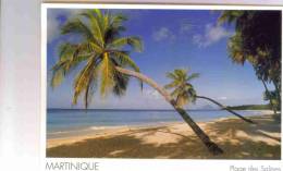 MARTINIQUE  LA PLAGE DES SALINES - Autres & Non Classés