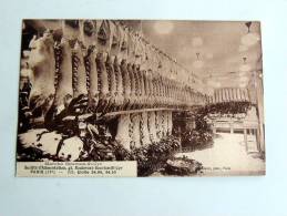 Carte Postale Ancienne : PARIS : Marché Gouvion-St-Cyr , Boucherie Modèle - Arrondissement: 17