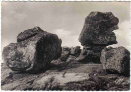 Carte Postale 29. Île De Sein  Les Rochers Trés Beau Plan - Ile De Sein