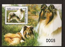 Afghanistan Afghanes 1999 - 1 BF ** Animaux, Chiens, Collie, Rough Collie, Arbre, Pré - Afghanistan