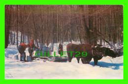 VERMONT, VT - GATHERING THE MAPLE SUGAR SAP - NATCO - - Other & Unclassified