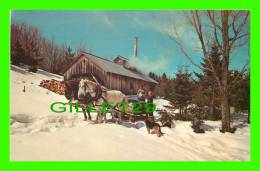 VERMONT, VT - THE MAPLE SUGAR TIME - SUGARING IN VERMONT - - Other & Unclassified